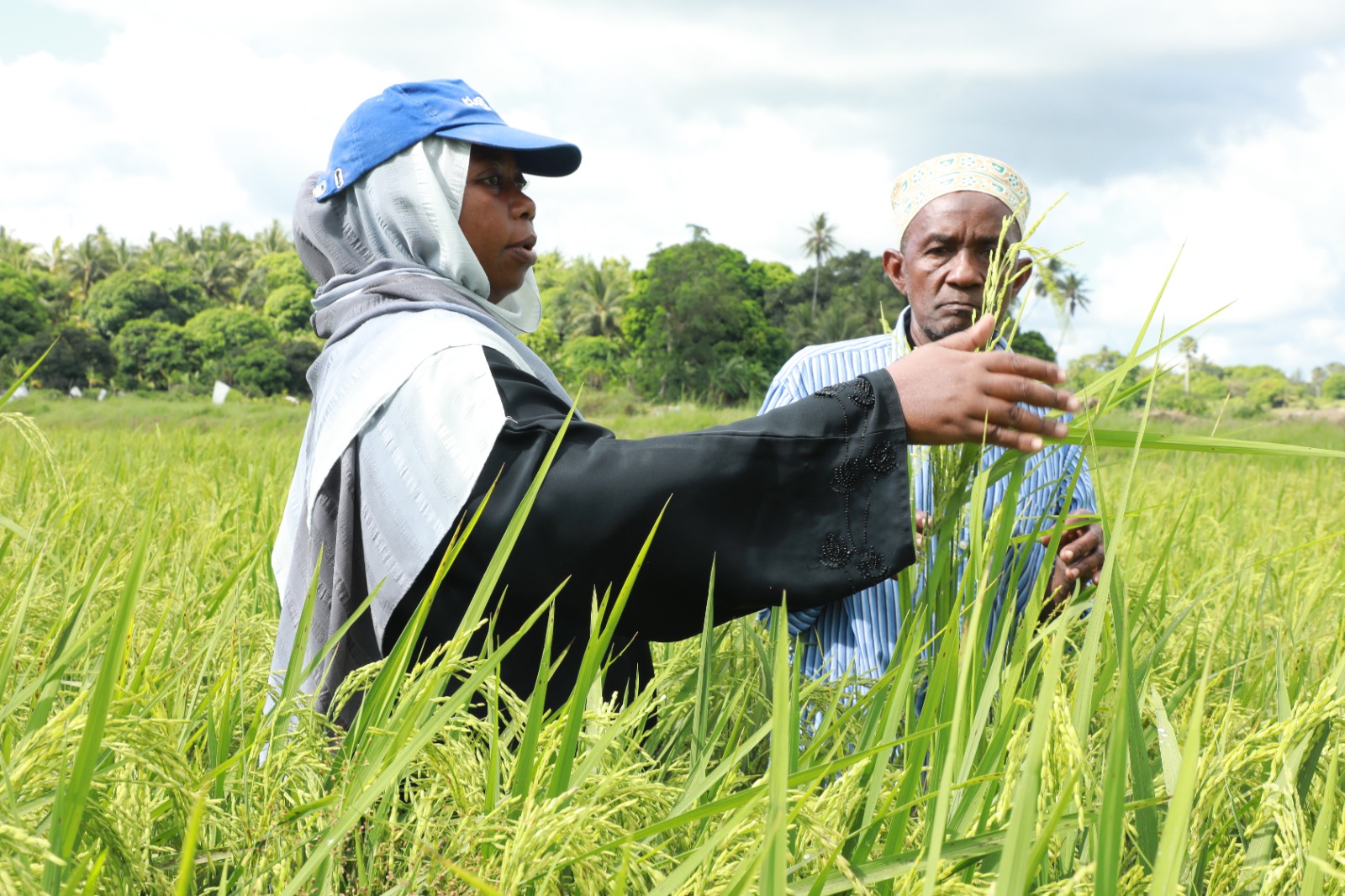 Bibishamba Khadija Hamad Ali, Atoa Elimu ya Uzalishaji wa Mpunga kwa Wakulima wa Mkoani Pemba.