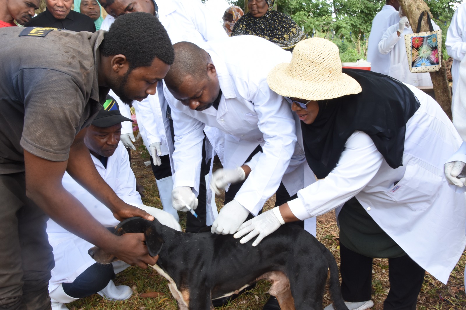 WAZIRI MAKAME AZINDUA RASMI ZOEZI LA CHANJO YA KICHAA CHA MBWA UNGUJA
